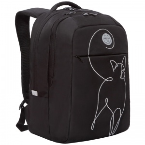 Рюкзак школьный Grizzly, 28x40x16см, 2 отделения, 1 карман, анатомическая спинка, черный-серебро (RD-244-3/2)