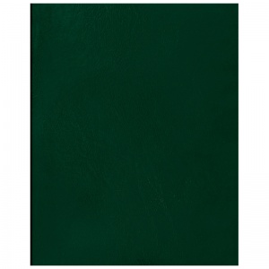 Тетрадь общая 80л, А4 BG, клетка, бумвинил, зеленый (Т4бв80к_12324)