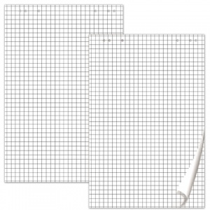Блок бумаги для флипчарта Brauberg (675x980мм, 80г/м2, белый, клетка, 20 листов) 5 уп. (124097)