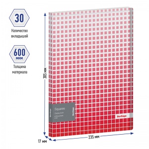 Папка файловая 30 вкладышей Berlingo Squares (А4, пластик, 17мм, 600мкм) рисунок, внутр.карман (DB4_30054), 30шт.