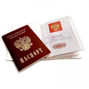 Обложка для страниц паспорта ДПС, 87x128мм, пвх, прозрачная (1361/10)