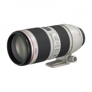 Объектив Canon EF 70-200mm f/4.0L USM, байонет Canon EF, черный (2578A009)