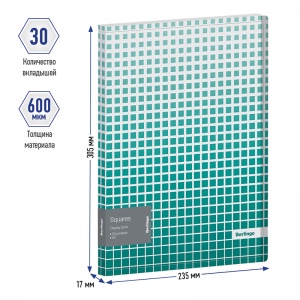 Папка файловая 30 вкладышей Berlingo Squares (А4, пластик, 17мм, 600мкм) рисунок, внутр.карман (DB4_30053)