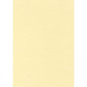 Дизайнерская бумага Decadry "Пергамент шампань" (А4, 95г) 25шт.