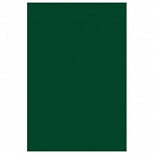 Блокнот 50л, А5 Апплика "Темно-зеленый", клетка, спираль, мелованный картон (С0368-02)