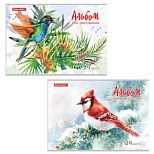 Альбом для рисования А4, 24л Brauberg "Райские птички" (100 г/кв.м, 202х285мм) (2 вида) (105609)
