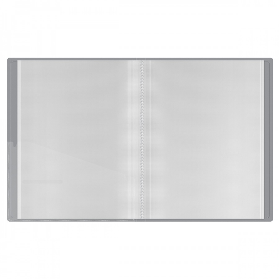 Папка файловая 40 вкладышей Berlingo Metallic (А4, пластик, 24мм, 1000мкм) серебряный металлик (DB4_40396)
