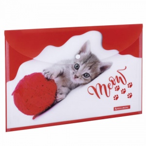 Папка-конверт на кнопке Brauberg Funny Cat (А4, 160мкм, цветная печать (228038)