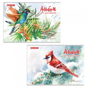 Альбом для рисования А4, 24л Brauberg "Райские птички" (100 г/кв.м, 202х285мм) (2 вида) (105609), 20шт.