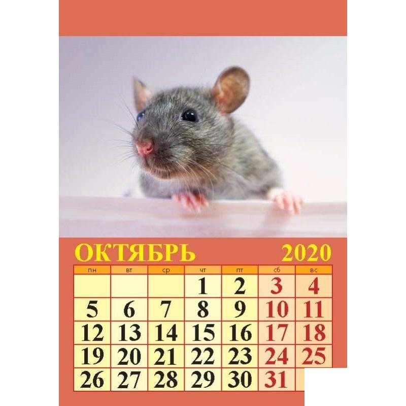 Календарь настенный отрывной на 2020 год Атберг &quot;Символ года на магните&quot; (96x135мм)