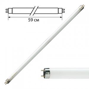 Лампа люминесцентная Philips TL-D 18W/54-765 (18Вт, G13) холодный белый, 1шт. (450648)