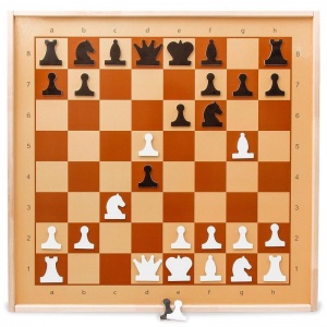 Игра настольная Шахматы Десятое королевство, демонстрационные магнитные, поле 70х70см (1756)
