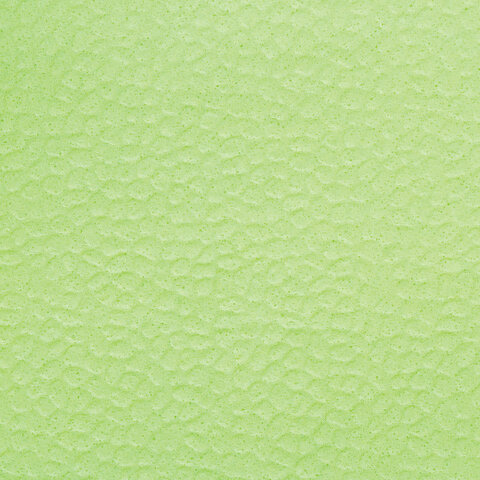 Салфетки бумажные 24x24см, 1-слойные Лайма, зеленые (пастель), 100шт., 15 уп. (111791)