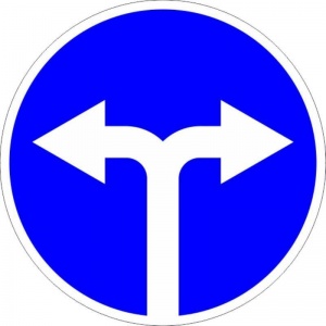 Дорожный знак 4.1.6 Движение направо или налево
