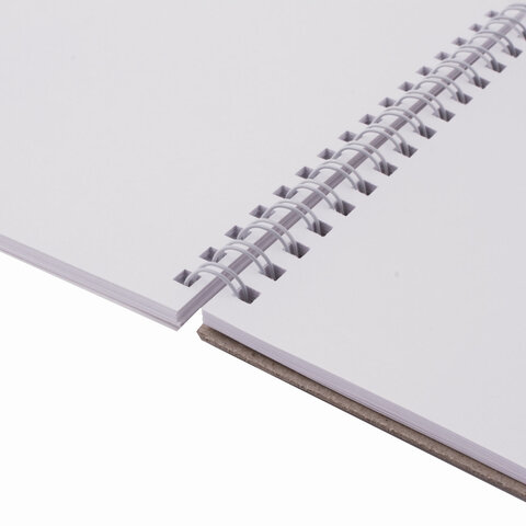 Блокнот для зарисовок А5, 40л Brauberg Art Debut (белая бумага 120 г/кв.м, 145х205мм, жесткая подложка) (110988)