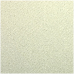 Бумага цветная Clairefontaine "Etival color" (24 листа, 500х650мм, 160 г/кв.м, бледно-зеленый, легкое зерно, хлопок) (93792C)