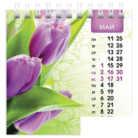Календарь-домик на 2020 год Hatber &quot;Flora&quot;, на гребне (101x101мм) (12КД6гр_19475)