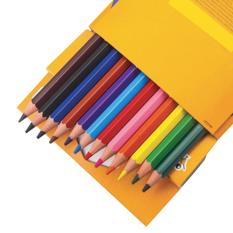 Карандаши цветные 12 цветов BIC Kids ECOlutions Evolution (L=175мм, D=5мм, d=3.2мм, 6гр, пластик) картонная упаковка (829029), 12 уп.