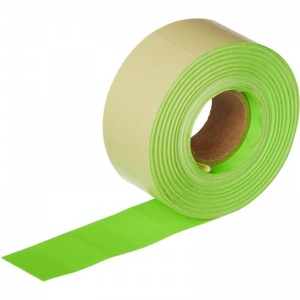 Этикет-лента 29х28мм, зеленая прямоугольная, 10 рулонов по 700шт.