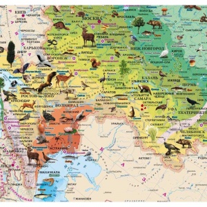 Настенная физическая карта России (масштаб 1:6.2 млн) природные зоны, животные и растения