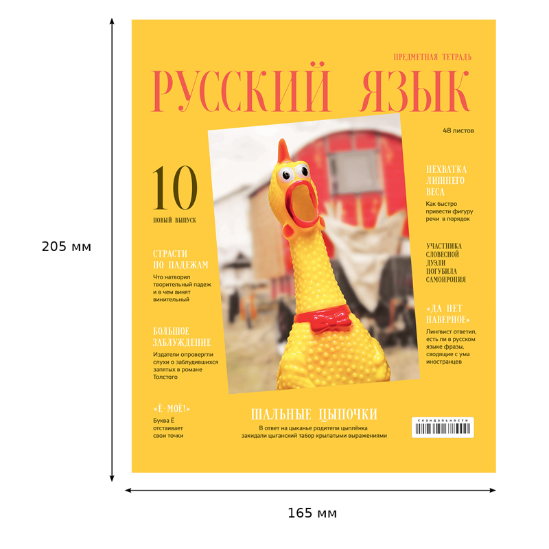 Тетрадь предметная для работ по русскому языку BG &quot;Скандальности&quot; (А5, 48л, глянцевая ламинация) (ТП5ск48_лг 11649)