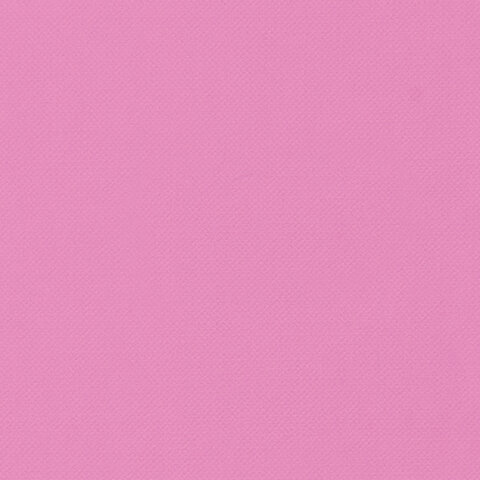 Ежедневник недатированный А5 Brauberg Select (160 листов) обложка балакрон, розовый, 2шт. (111663)