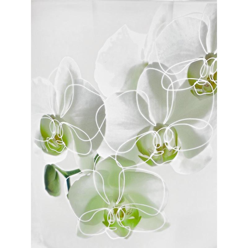 Горшок для цветов InGreen Фиджи Орхид Белая орхидея, 1.6л