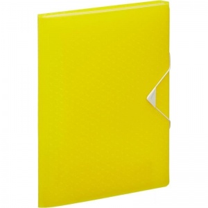 Папка-органайзер Esselte Colour'Ice (А4, 6 отделений) желтая