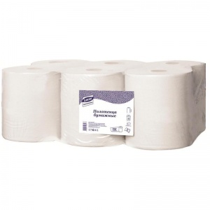 Полотенца бумажные для держателя 2-слойные Luscan Professional, рулонные с центр. вытяжкой, 6 рул/уп (601115)