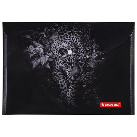 Папка-конверт на кнопке Brauberg Leopard (А4, 160мкм, до 100 листов) цветная печать (228039), 12шт.
