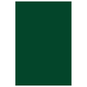 Блокнот 50л, А5 Апплика "Темно-зеленый", клетка, спираль, мелованный картон (С0368-02)