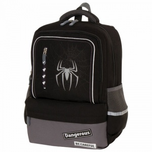 Рюкзак школьный Brauberg Star Spider, черный, 40х29х13см (229978)