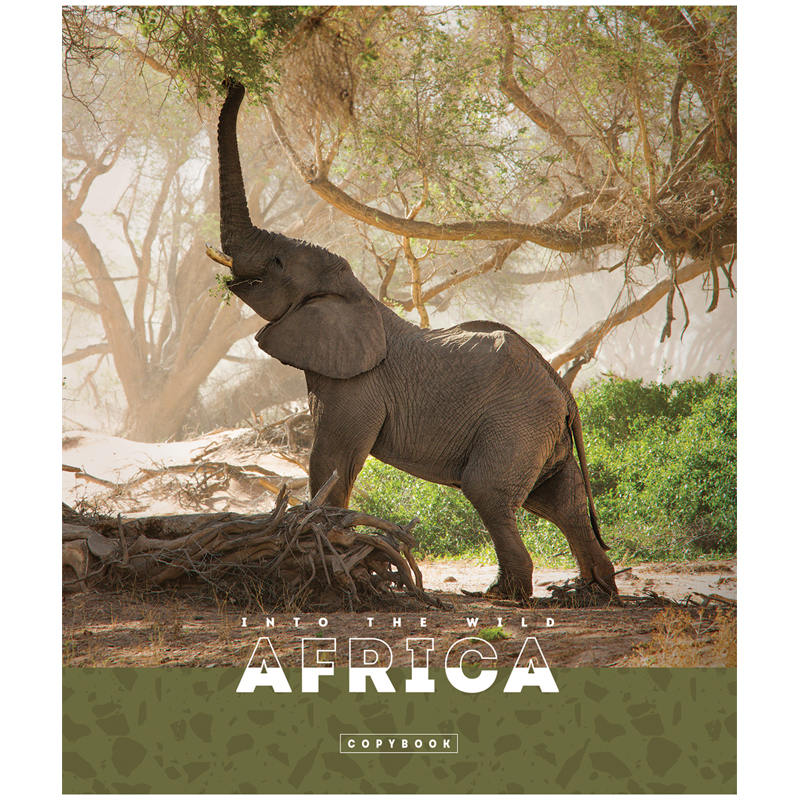 Тетрадь общая 96л, А5 ArtSpace &quot;Животные. Nature of Africa&quot; (клетка, скрепка) эконом (Т96кЭ_36448), 5шт.
