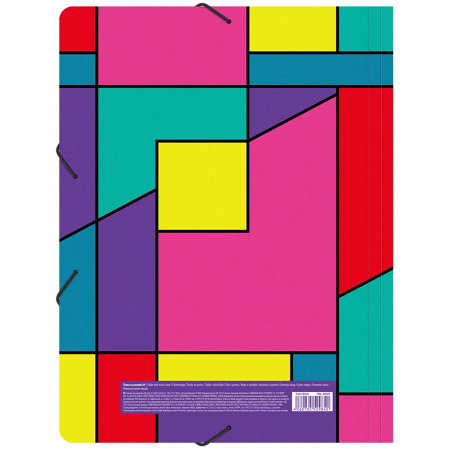 Папка на резинках пластиковая Berlingo Color Block (А4, 600мкм, до 300 листов) с рисунком (FB4_A4S03)