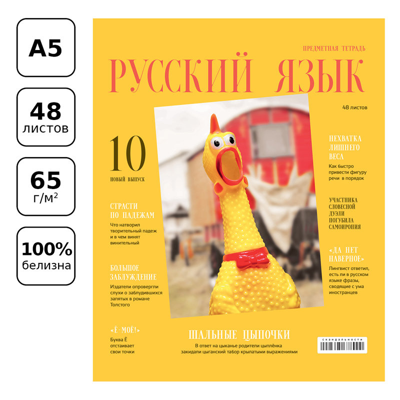 Тетрадь предметная для работ по русскому языку BG &quot;Скандальности&quot; (А5, 48л, глянцевая ламинация) (ТП5ск48_лг 11649), 10шт.
