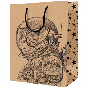 Пакет подарочный из крафт-бумаги 11x14x6,5см ArtSpace "Space Cat" (K_46056), 12шт.