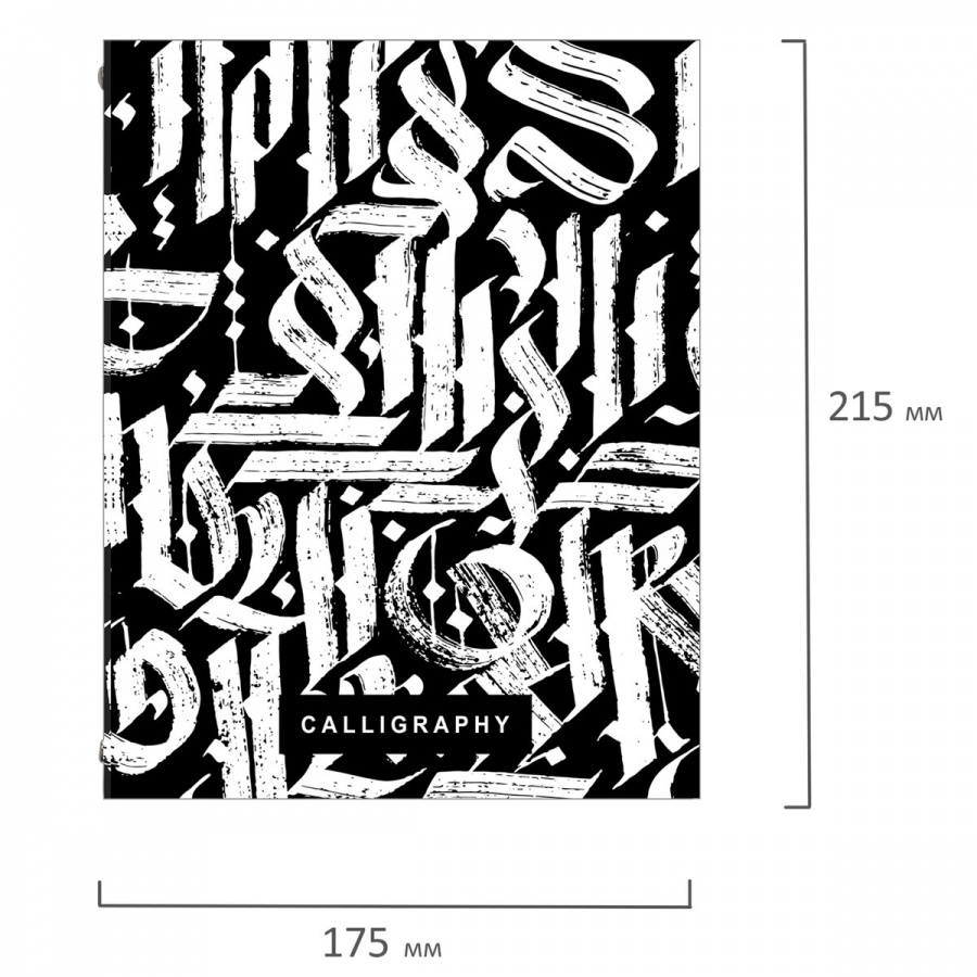Тетрадь на кольцах 240л, А5 Brauberg &quot;Calligraphy&quot; (клетка, твердый картон, разделители) 3шт. (404097)