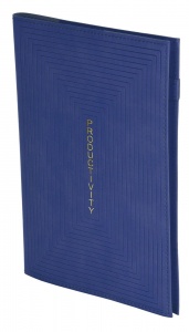 Ежедневник недатированный А5 inФОРМАТ Rectangle Line (168 листов) мягкая обложка, синий