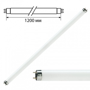 Лампа люминесцентная Philips TL-D 36W/33-640 (36Вт, G13) нейтральный белый, 25шт. (872790081582500)