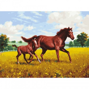 Картина по номерам Остров сокровищ "Лошади на лугу", 40х50см, на подрамнике, акриловые краски, 3 кисти (662464)