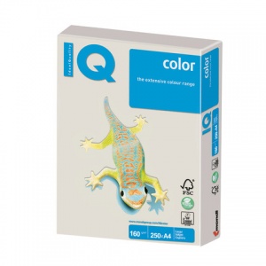 Бумага цветная А4 IQ Color пастель серая, 160 г/кв.м, 250 листов (GR21)