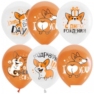 Воздушные шары Пати Бум "White&Orange. Корги. С днем рождения", 25шт., 12" (30см), декоратор, шелк (4690296072292)