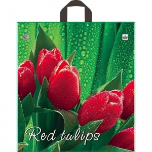 Пакет подарочный пластиковый Красный тюльпан, 43.5х40см, 50шт.