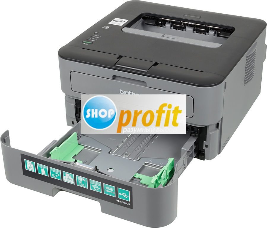 Принтер лазерный монохромный Brother HL-L2300DR, серый/черный, USB (HLL2300DR1)