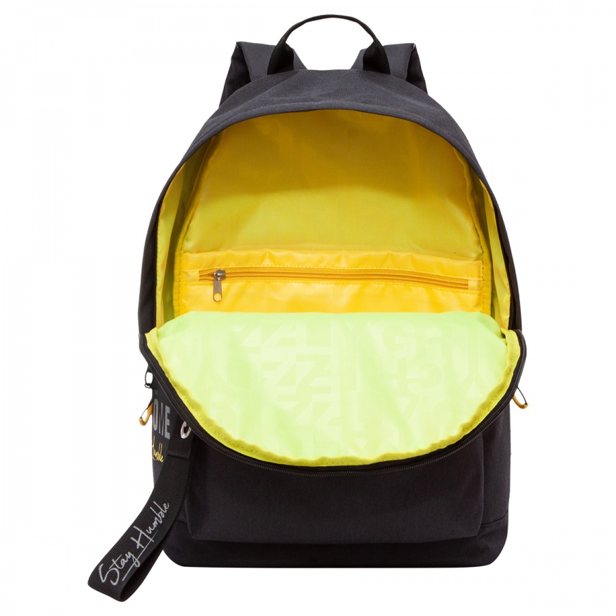 Рюкзак школьный Grizzly, 30x44x15см, 1 отделение, 4 кармана, укрепленная спинка, черный (RQL-317-4/1)