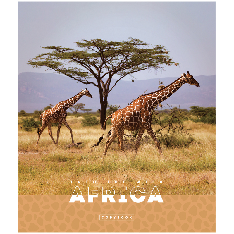 Тетрадь общая 96л, А5 ArtSpace &quot;Животные. Nature of Africa&quot; (клетка, скрепка) эконом (Т96кЭ_36448), 5шт.