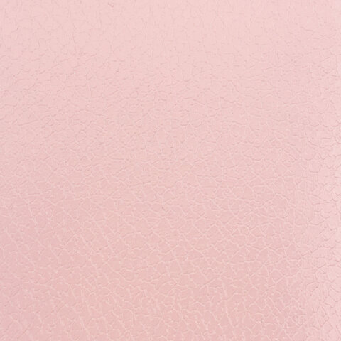 Ежедневник недатированный А5 Brauberg Profile (136 листов) обложка балакрон, светло-розовый, 2шт. (111661)