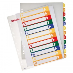 Разделитель листов пластиковый Esselte (А4, на 12л., цифровой, прозр. титульный лист) цветной (100214)