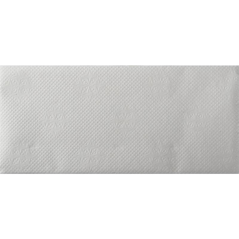 Полотенца бумажные для держателя 1-слойные Protissue, листовые V(ZZ)-сложения, 20 пачек по 250 листов (С192)