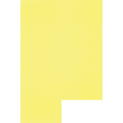 Калька Schoellershammer Софт (А4, 100г) матовая, желтый морозный, пачка 25л.